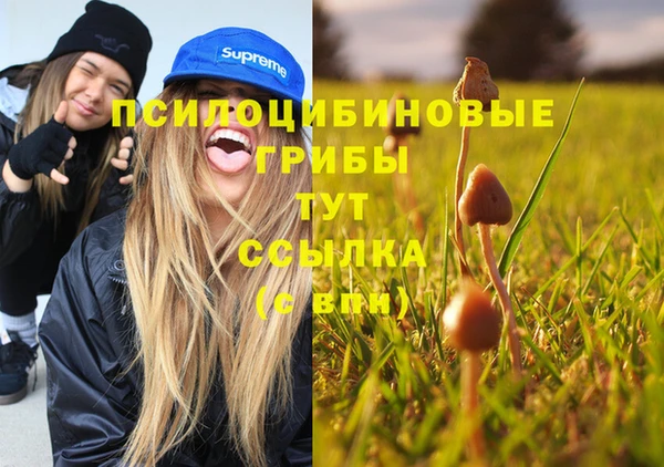 шишки Пролетарск