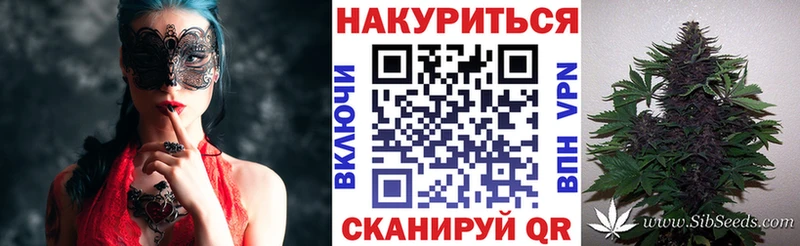 Конопля гибрид  Купить закладки  Грозный 